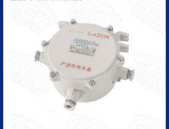 BdH系列防爆鎮流器